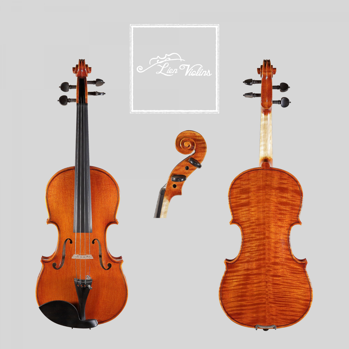 Lien Violins Professional B Violin & Viola Lien Violins Professional B violin, showing front, back and scroll views