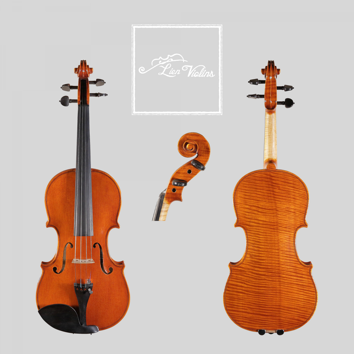 Lien Violins Professional AA Violin & Viola Lien Violins Professional AA violin, showing front, back and scroll views