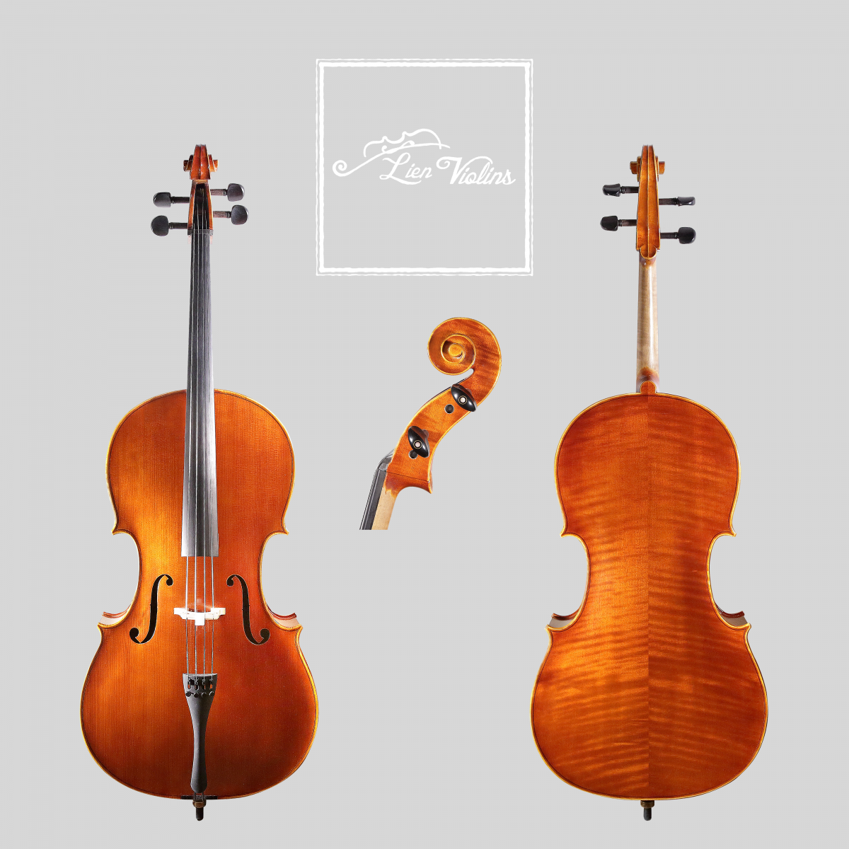Lien Violins Professional B cello Lien Violins Professional B cello, showing front, back and scroll views