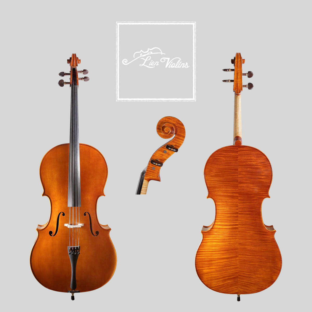 Lien Violins Professional AA cello Lien Violins Professional AA cello, showing front, back and scroll views