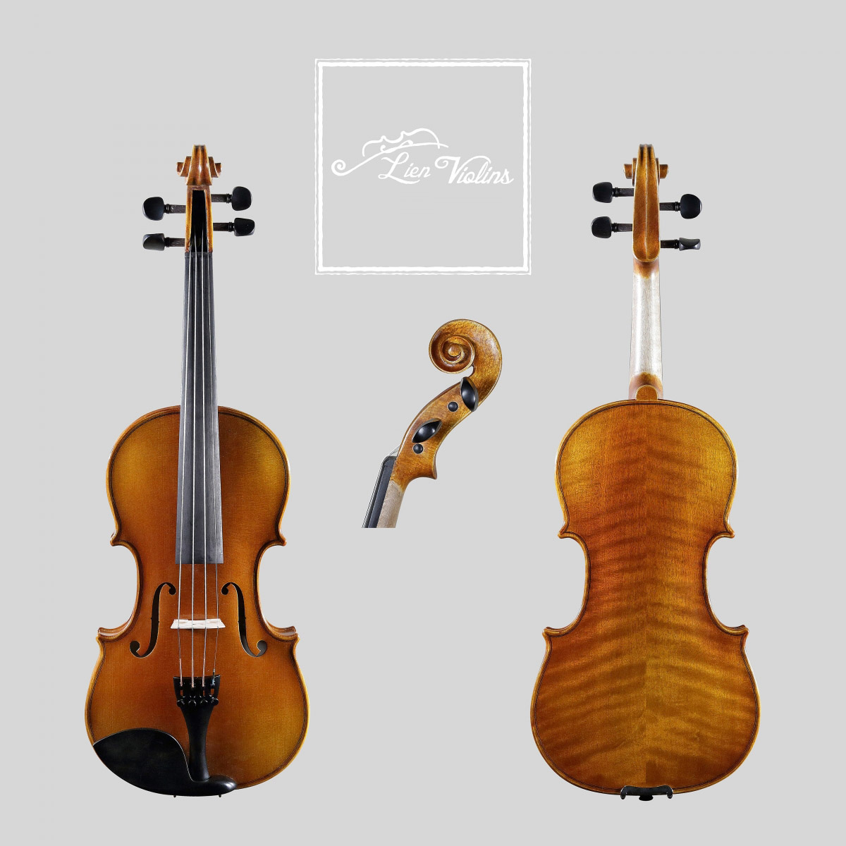 Lien Violins Professional D violin, showing front, back and scroll views