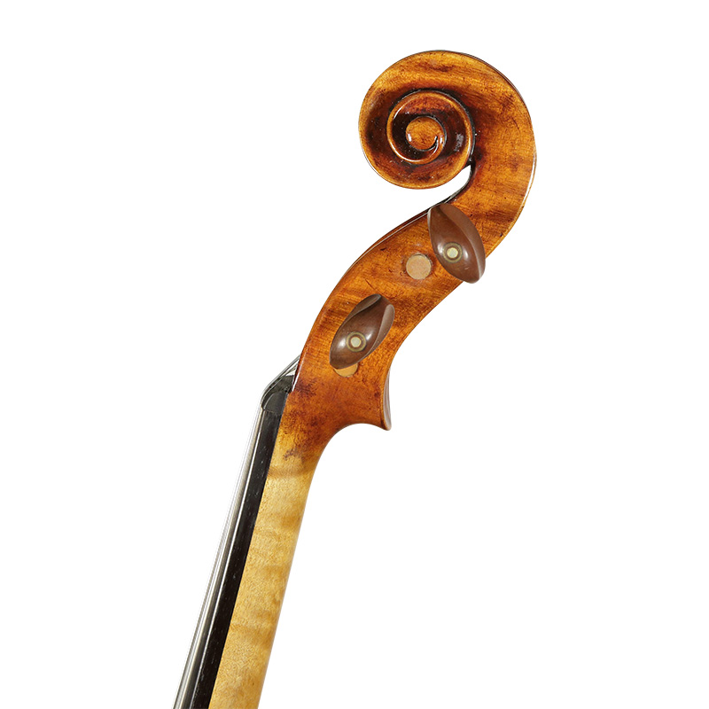 David Lien Workshop Concert viola, scroll views David Lien Workshop Concert viola, scroll views