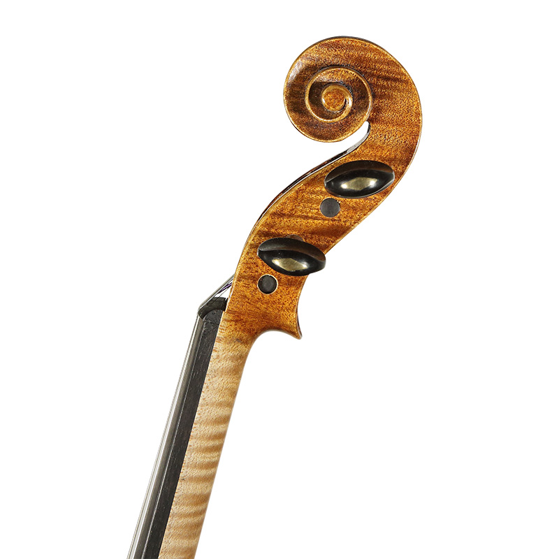 David Lien Workshop Soloist viola, scroll views David Lien Workshop Soloist viola, scroll views