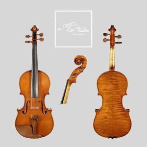 David Lien Workshop Concert viola, front, back and scroll views David Lien Workshop Concert viola, front, back and scroll views