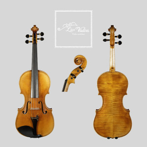 David Lien Workshop ConcertMaster viola, front, back and scroll views David Lien Workshop ConcertMaster viola, front, back and scroll views