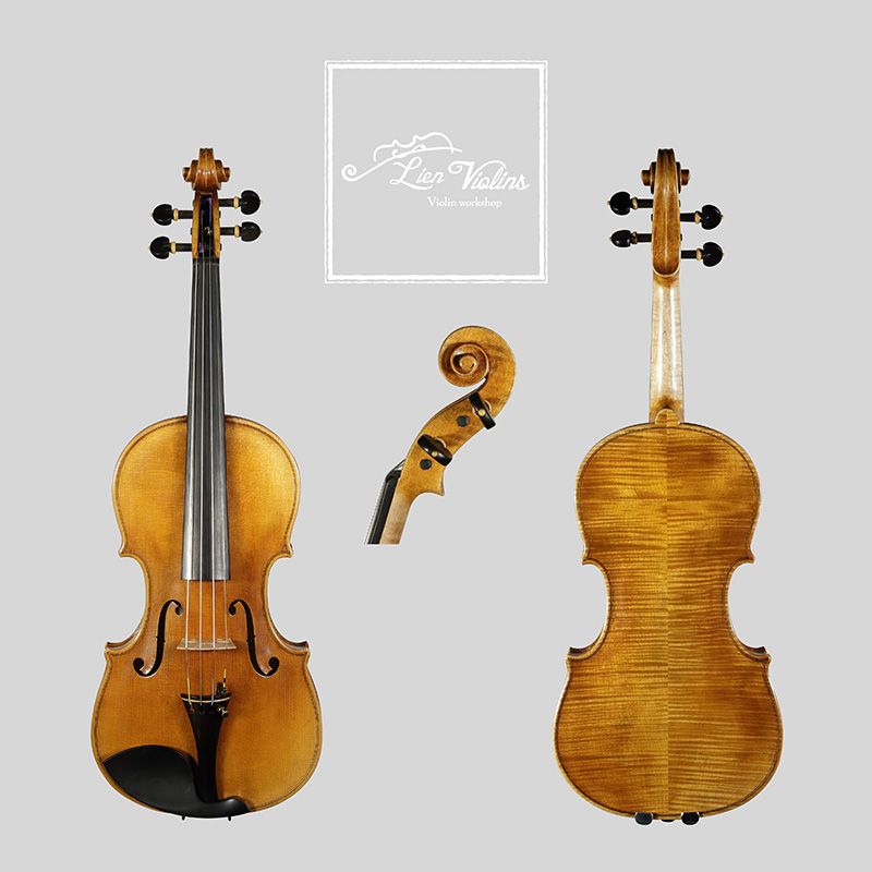 David Lien Workshop ConcertMaster viola, front, back and scroll views David Lien Workshop ConcertMaster viola, front, back and scroll views
