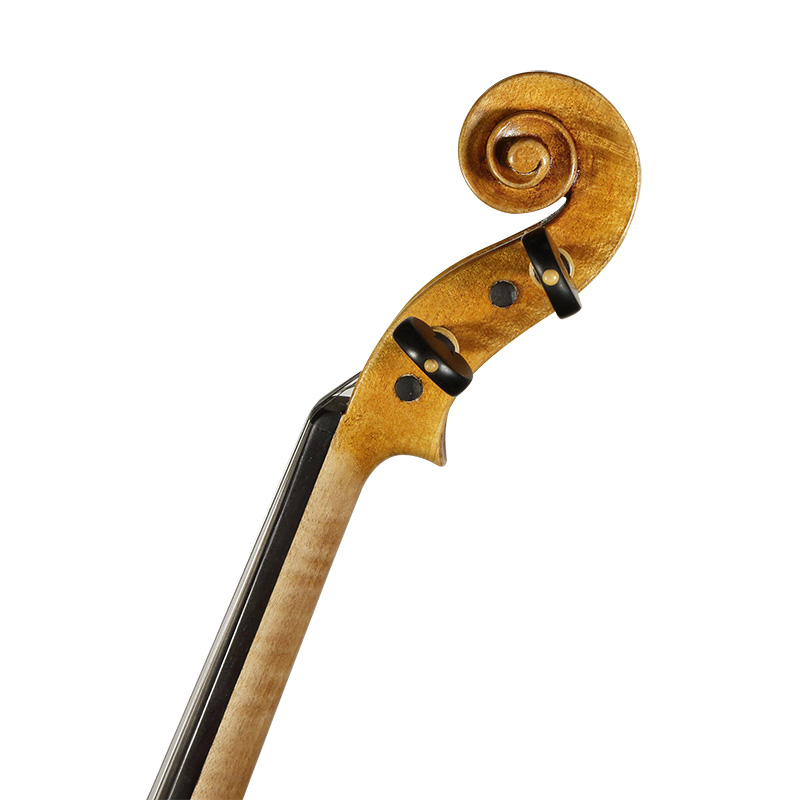 David Lien Workshop ConcertMaster viola, scroll views David Lien Workshop ConcertMaster viola, scroll views