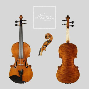 David Lien Workshop Soloist viola, front, back and scroll views David Lien Workshop Soloist viola, front, back and scroll views