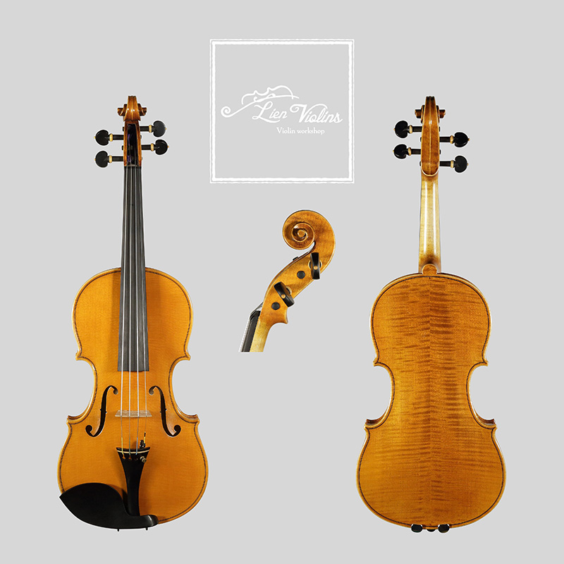 David Lien Workshop Orchestra viola, front, back and scroll views David Lien Workshop Orchestra viola, front, back and scroll views