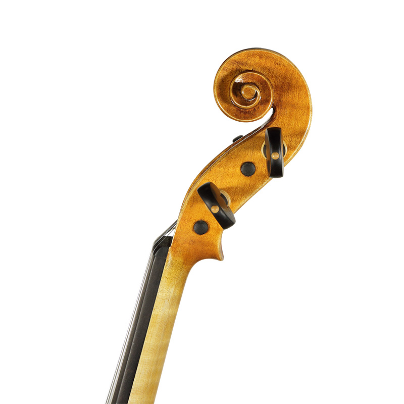 David Lien Workshop Orchestra viola, scroll views David Lien Workshop Orchestra viola, scroll views