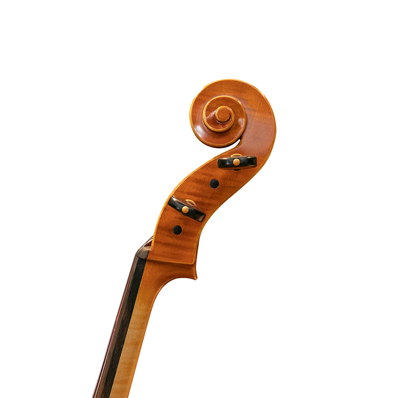 David Lien Workshop Soloist cello, scroll views David Lien Workshop Soloist cello, scroll views