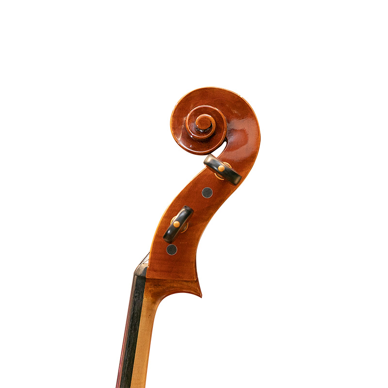 David Lien Workshop Orchestra cello, scroll views David Lien Workshop Orchestra cello, scroll views