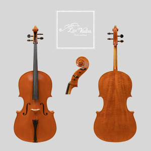David Lien Workshop Soloist cello, front, back and scroll views David Lien Workshop Soloist cello, front, back and scroll views