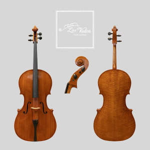 David Lien Workshop Master cello, front, back and scroll views David Lien Workshop Master cello, front, back and scroll views