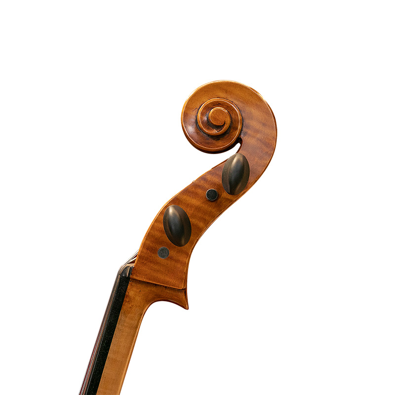David Lien Workshop Master cello, scroll views David Lien Workshop Master cello, scroll views