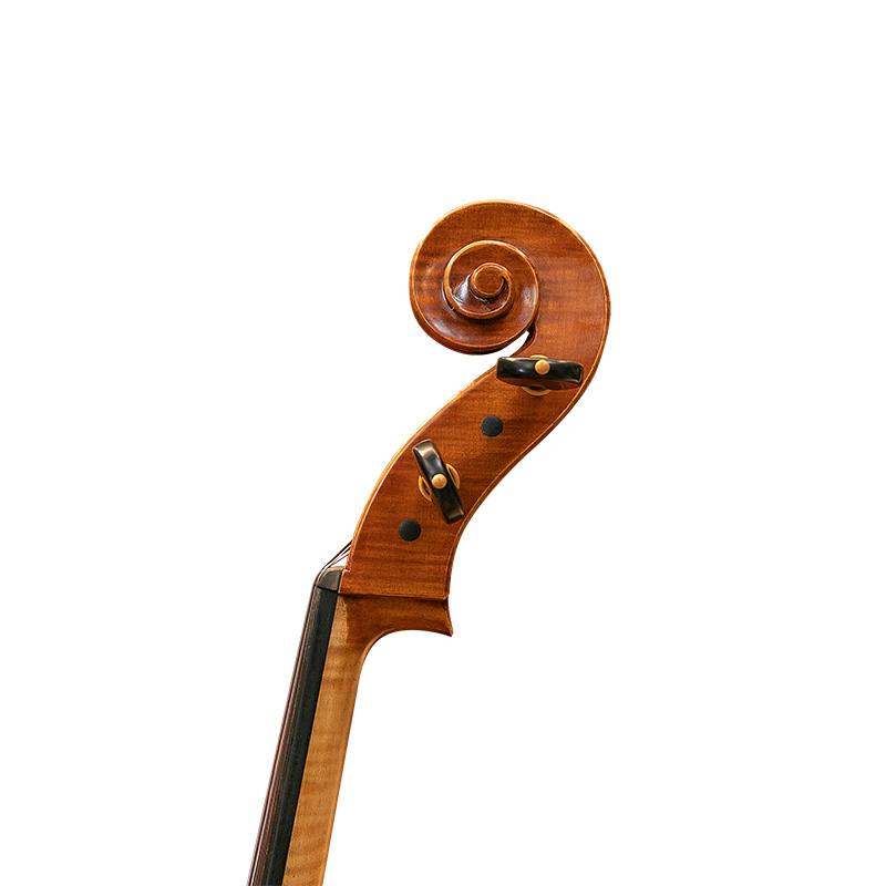 David Lien Workshop Concert cello, scroll views David Lien Workshop Concert cello, scroll views