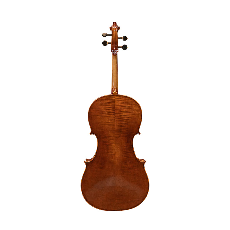 David Lien Workshop Orchestra cello, back views David Lien Workshop Orchestra cello, back views