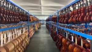 Lien Violins Professional Series