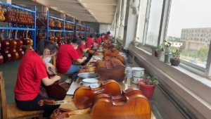 Lien Violins Professional Series