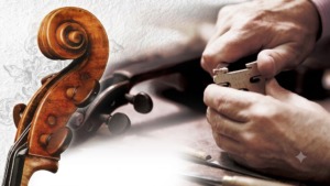 Luthier fitting a bridge beside a violin scroll during final setup